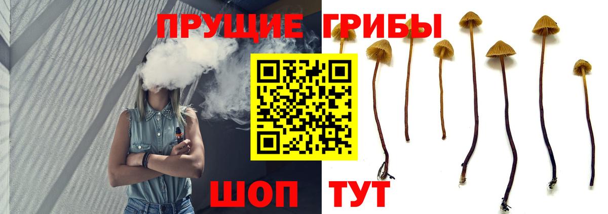 Галлюциногенные грибы GOLDEN TEACHER Сосновоборск
