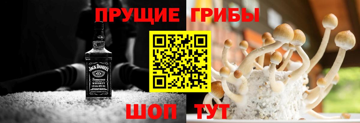 Псилоцибиновые грибы Cubensis  Вход с VPN  Галлюциногенные грибы GOLDEN TEACHER  Сосновоборск 